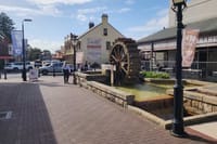Blue Mountains Hidden Routes: Wild Kangaroos, Windsor & Falls 4