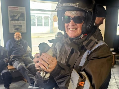 Puffins and Pirates ATV Tour, photo 2