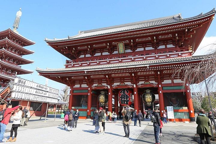 Tokyo Full-Day Private Sightseeing Tour with English Driver