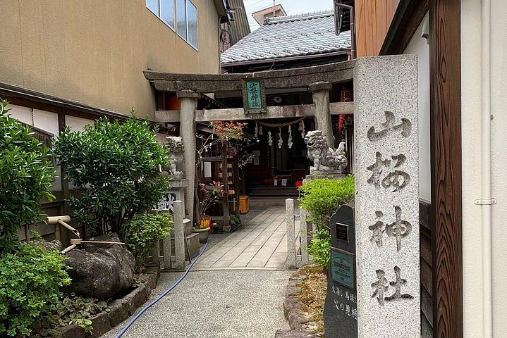 Takayama oldtownship walking tour with local guide. (About 45min)