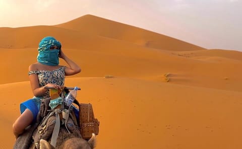 15-Day Cultural Tour of Morocco from Casablanca