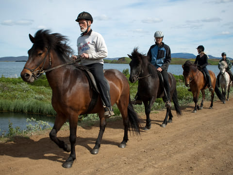 2 hour Riding tour Lake Myvatn area, photo 4