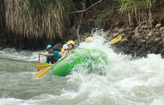 Full-Day Guided Adventure Tour in the Forest of San Ramón