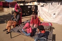 A Part of Bishnoi Village Safari