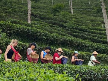 Happy together in the tea garden