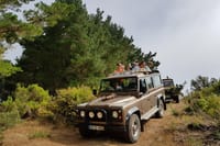 Skywalk & Rabacal "25 Fountains Levada Walk" in Open Roof 4x4 Full Day Tour 4