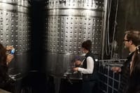 Wine tasting Tour