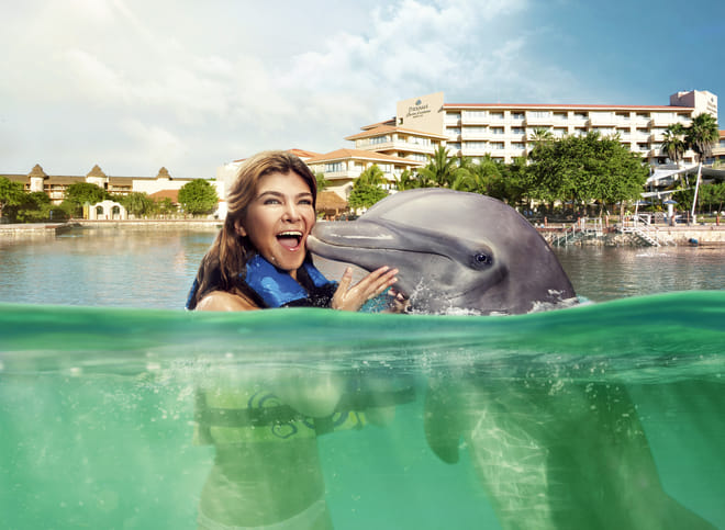 Dreams Puerto Aventuras: Dolphin Encounter  7