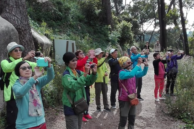 Sintra Full-Day: Pena, Moorish Castle & Regaleira with Tickets 8