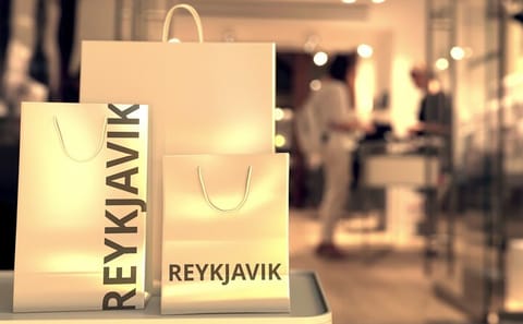 Private 3-Hour Walking Tour of Reykjavik's Culture and History