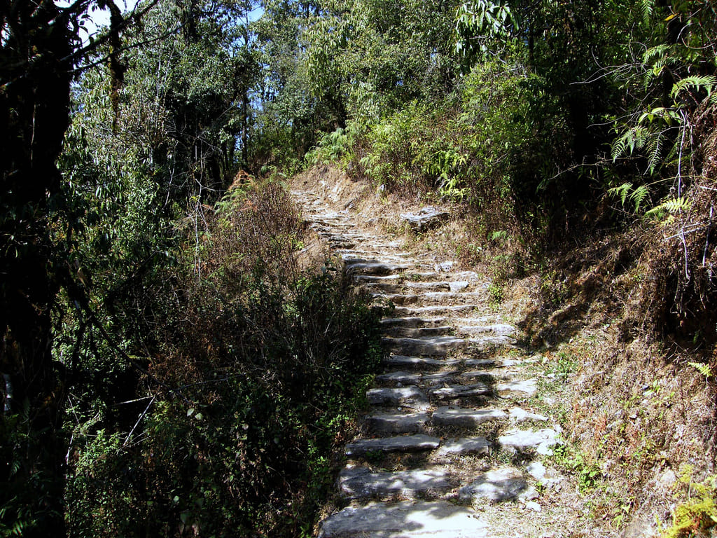 19 Days Mera Peak Climbing & Expedition – One Life-Changing Himalayan Adventure