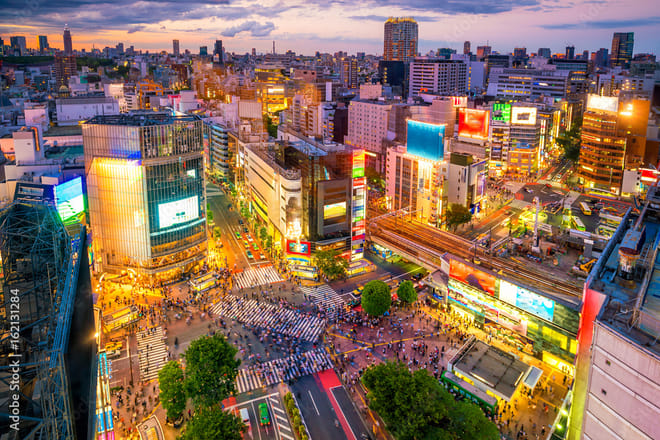 Private Tokyo Full-Day Tour by Chartered Vehicle photo 6