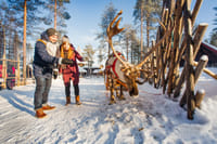 Santa Claus Safari - Rovaniemi 6