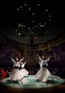 Hodjapasha Whirling Dervish Ceremony 2