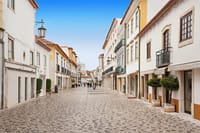 Private Tomar & Almourol Historical Daytrip from Lisbon 7