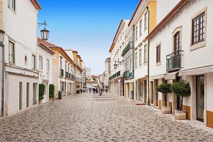 Private Tomar & Almourol Historical Daytrip from Lisbon 7