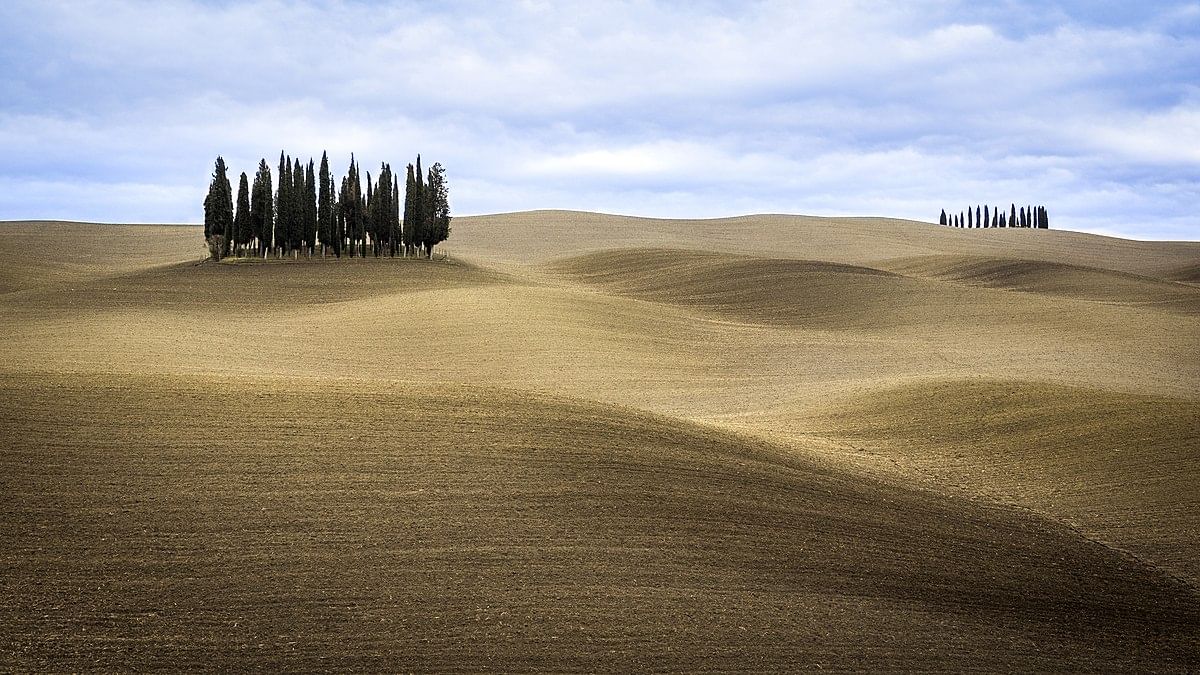 Panoramic view of the typical landscape of Val d'Orcia with its characteristic cypress trees