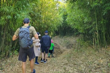 Trek Muong Hoa Valley and Explore Ethnic Villages in Sa Pa
