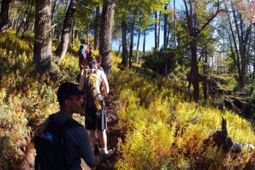 Bella Vista Trekking Tour with Transport from Bariloche