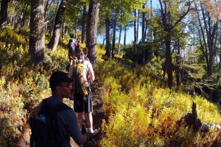 Bella Vista Hill Full-Day Trek from Bariloche