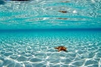 Cozumel Snorkeling Adventure full day Tour 7