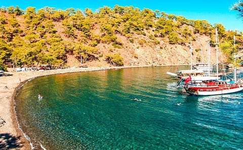 Kemer Mediterranean Coast Bus Tour with Lunch and Activities