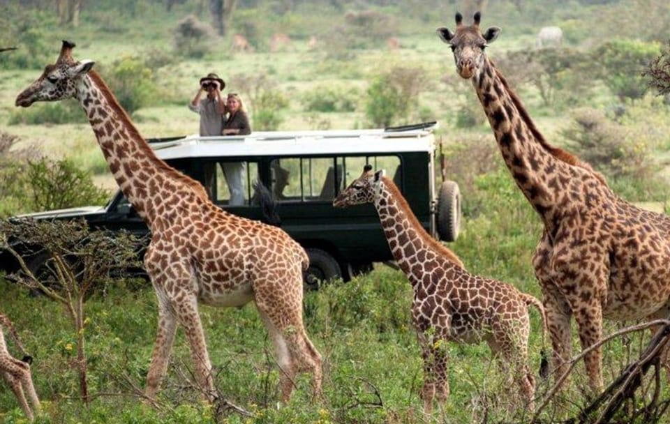 4-Day Masai Mara and Lake Nakuru Safari from Nairobi