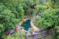 Skip the Line: Jungle Park Tenerife Entrance Ticket 3