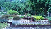 SENSORY GARDEN