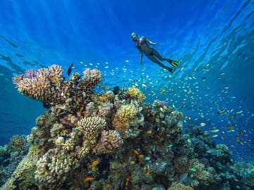 Full Day Snorkeling Trip to Marsa Mubarak from Marsa Alam