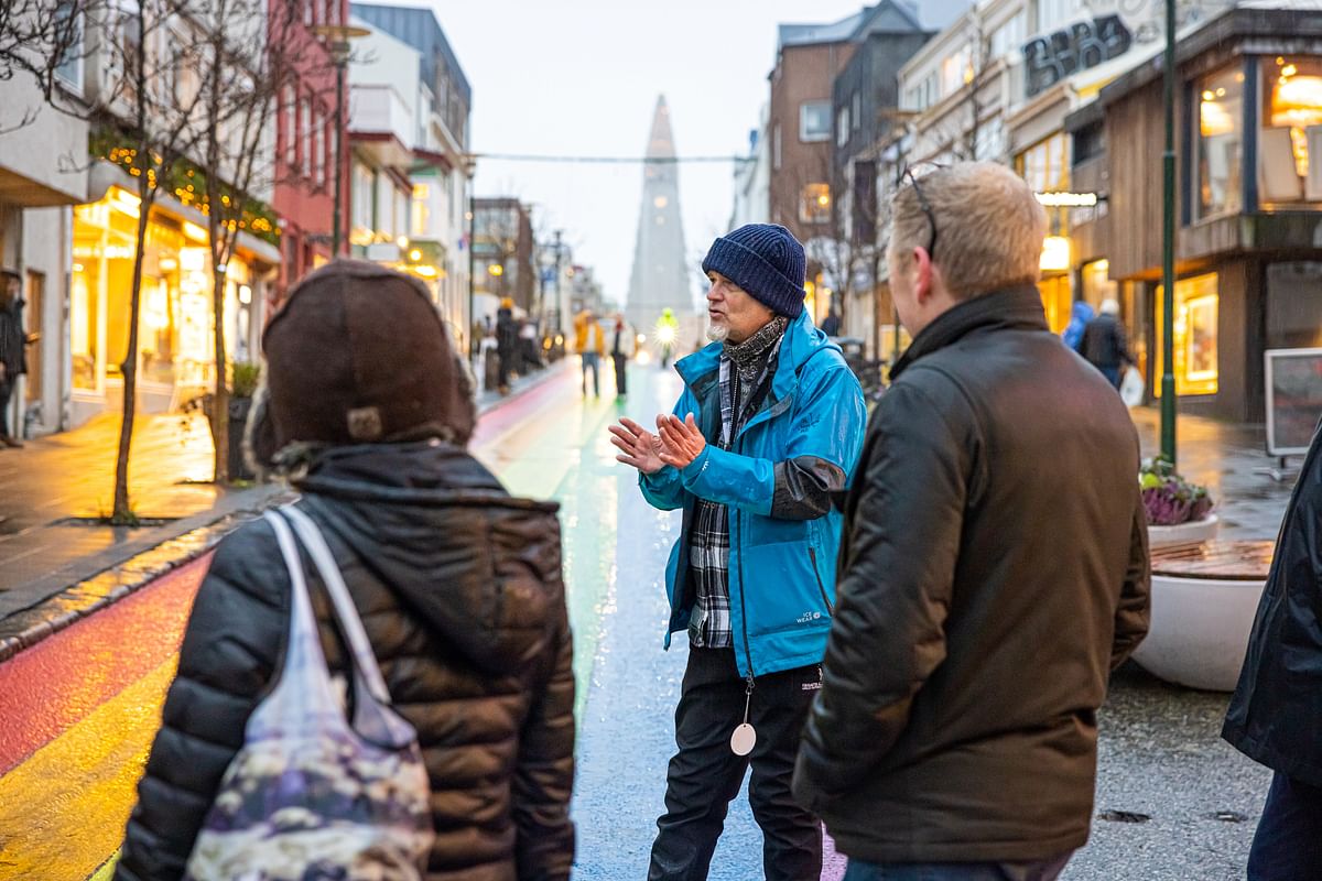 Private Reykjavik Walking Tour: Discover the City with a Local Viking