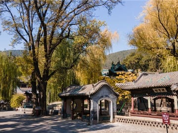 Chengdu Mahjong Experience Multilingual Guide