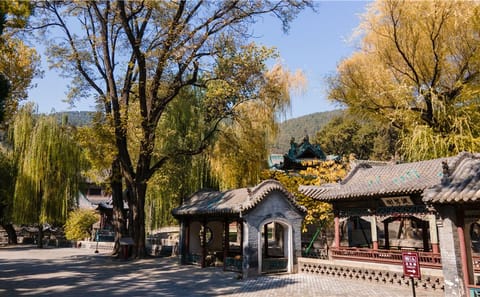 Day Tour of Taiyuan: Mengshan Giant Buddha and Jinci Museum