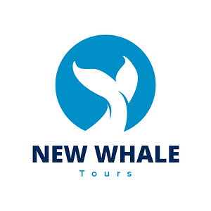 New Whale Tours