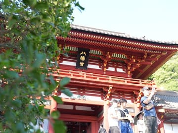 Kamakura Early Morning Tour (Tokyo Departure Available)