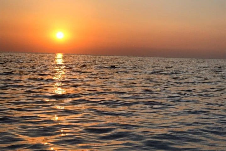 Sunset and Dolphin Excursion Pula - Ship Ulika 2