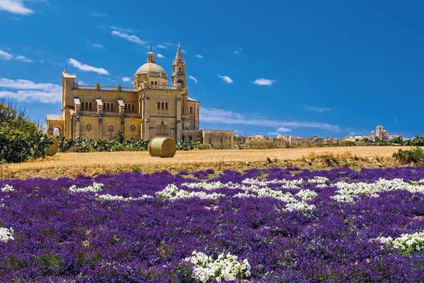 Things to do in Victoria