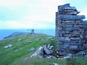 Marine wildlife cruise to Inishturk Island. Galway. Private guided.  10