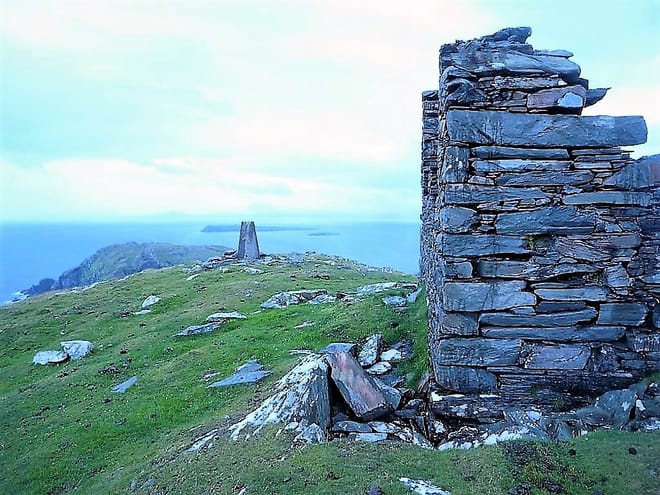 Marine wildlife cruise to Inishturk Island. Galway. Private guided.  10