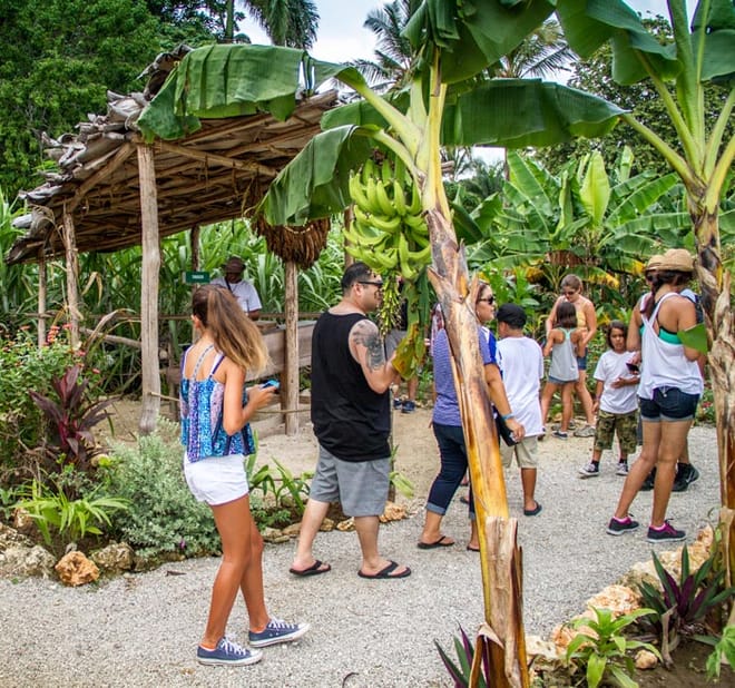 Safari of Fields - Punta Cana 4