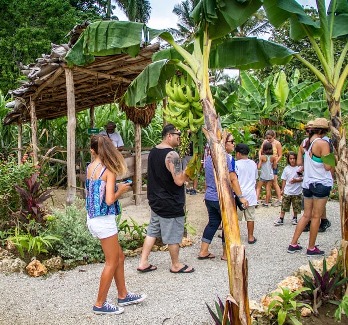 Safari of Fields - Punta Cana 4