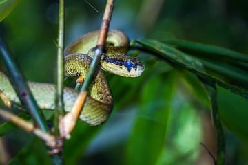 Enjoying Splendid Sri Lanka