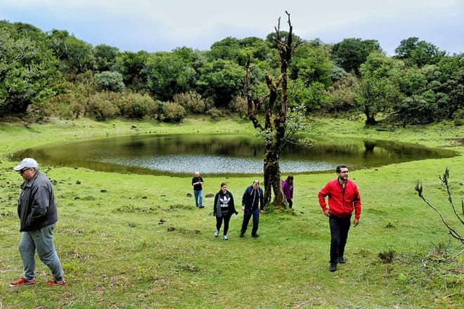 Full Day Private 4x4 Tour in West Madeira with Local Guide 4