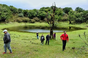 Private Full-Day 4x4 Tour of West Madeira from Funchal