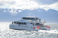 Navigation to Penguin colony