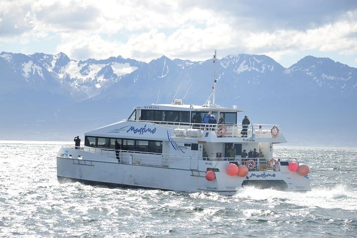 Navigation to Penguin colony