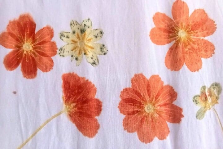 Koh Yao Native Touch & Thai cooking class