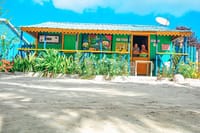 Isla Saona Speedboat Adventure - Lunch, Wildlife & Natural Pools 10