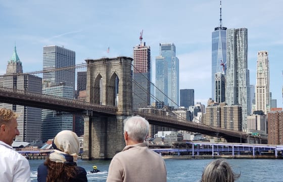 Statue of Liberty & Manhattan Skyline Sightseeing Cruise