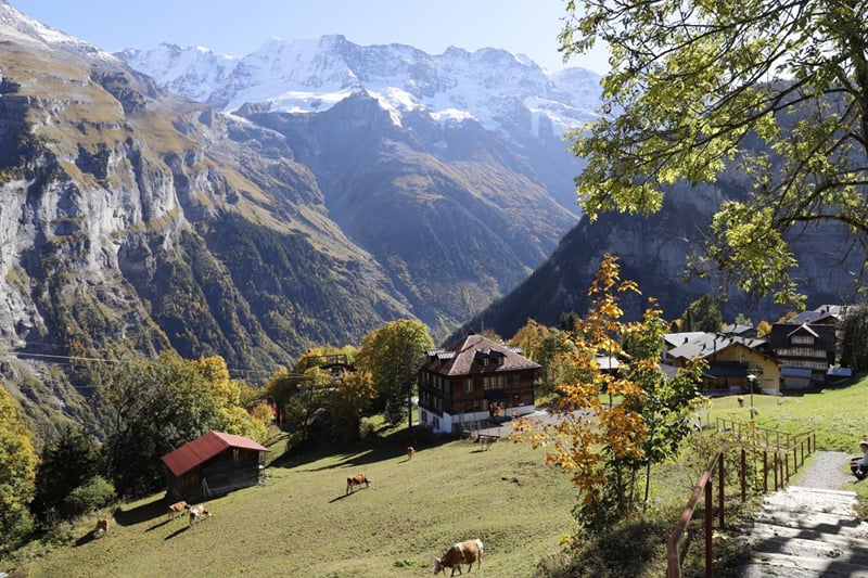 Gimmelwald no outono, a vila entre Stechelberg e Mürren, com as cores das árvores.